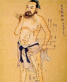 Illustration Acupuncture