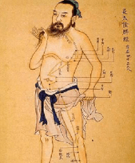 Illustration Acupuncture